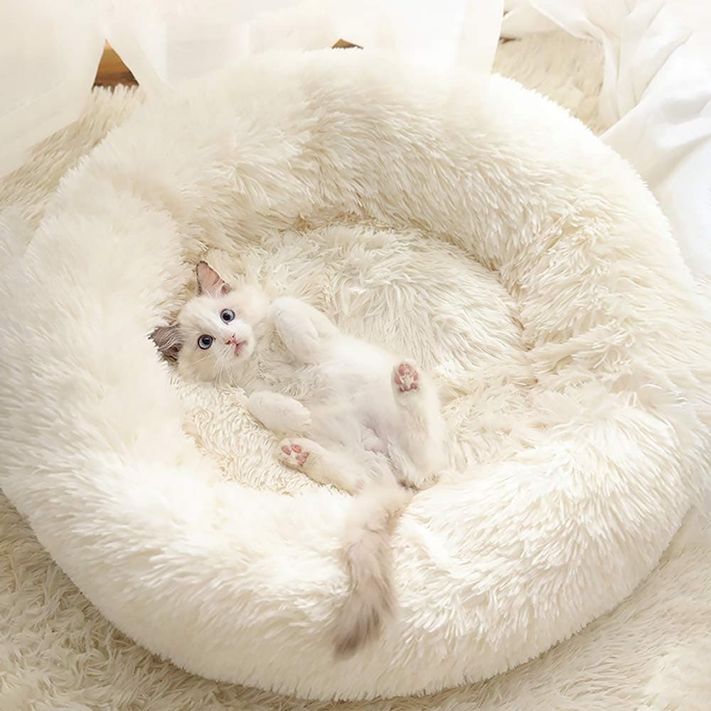 Complete Small Pet Care Kit